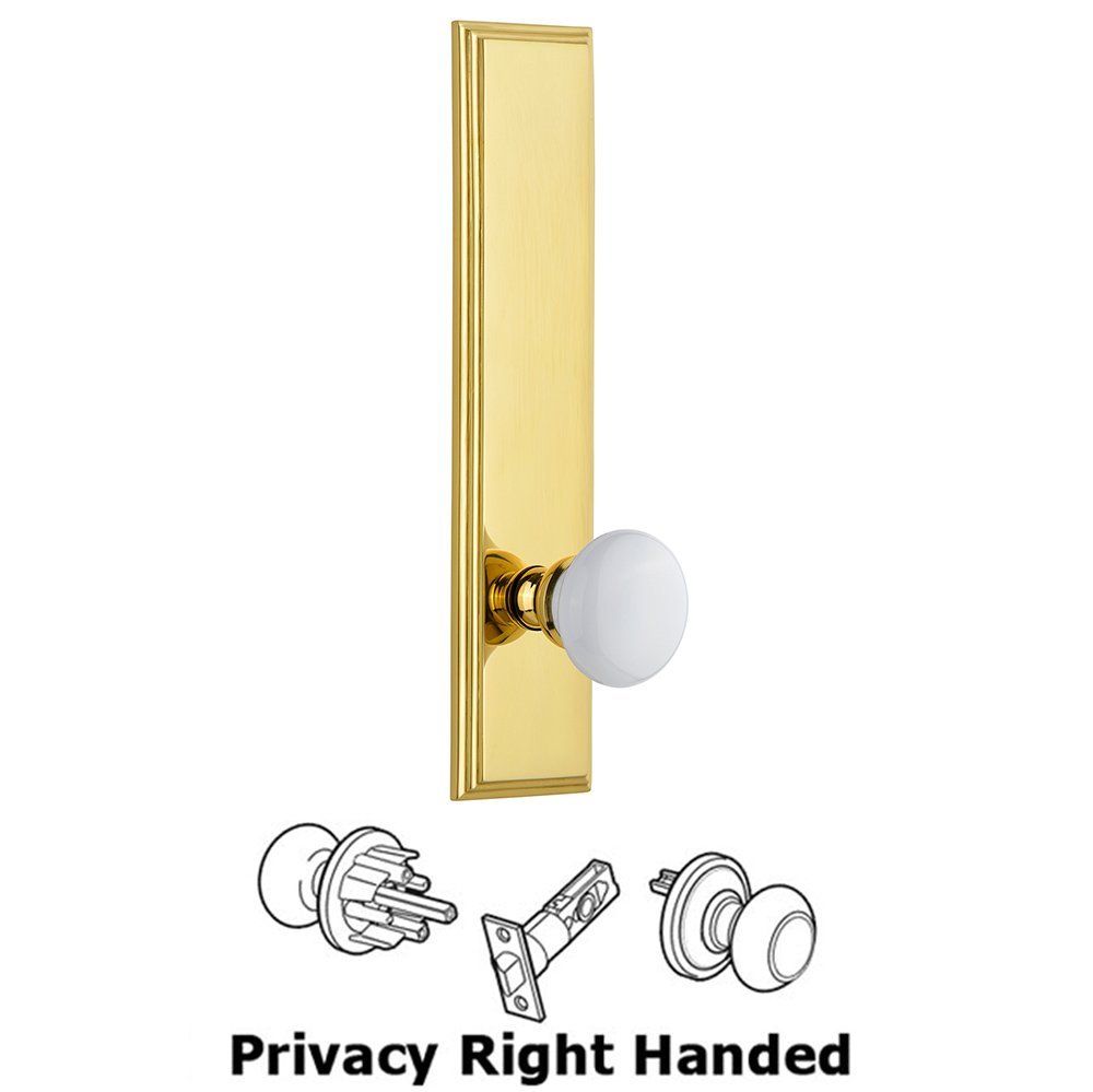 Privacy Carre Tall Plate with Hyde Park Right Handed Knob in Lifetime Brass