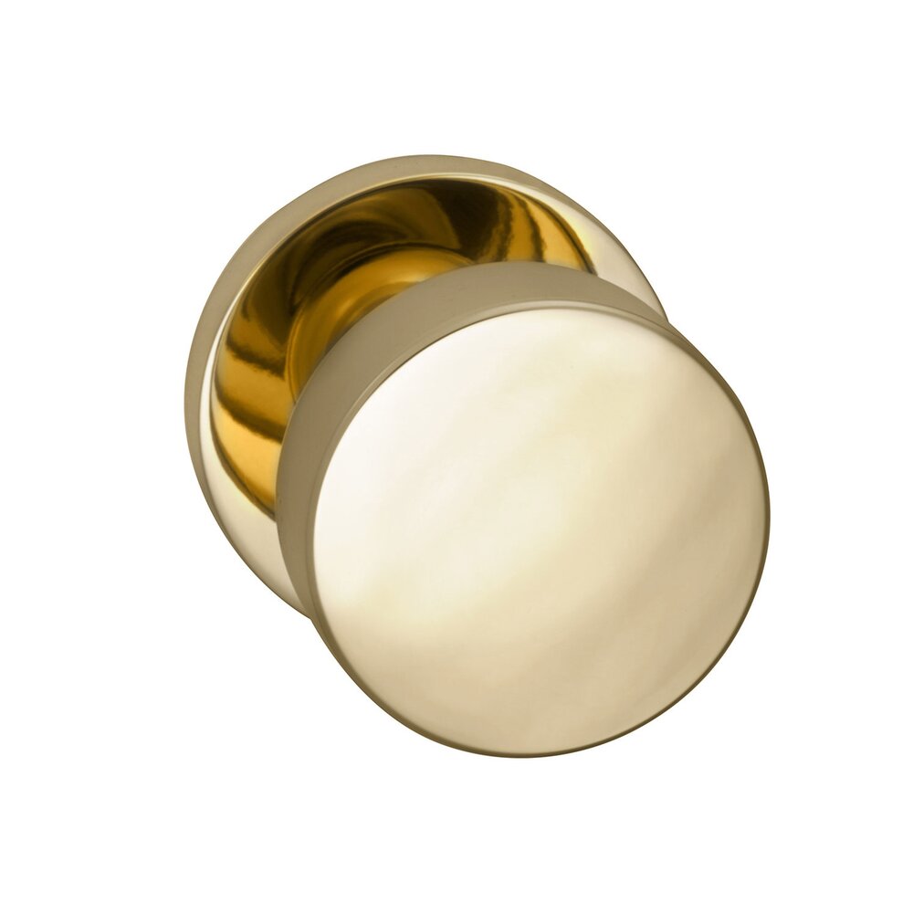 Single Dummy Puck Knob with Modern Rose in Polished Brass Lacquered
