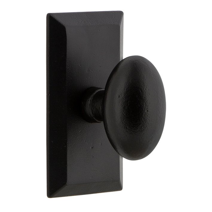 Privacy Vale Plate with Aeg Knob in Black Iron