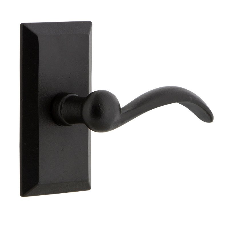 Privacy Vale Plate with Right Handed Tine Lever in Black Iron