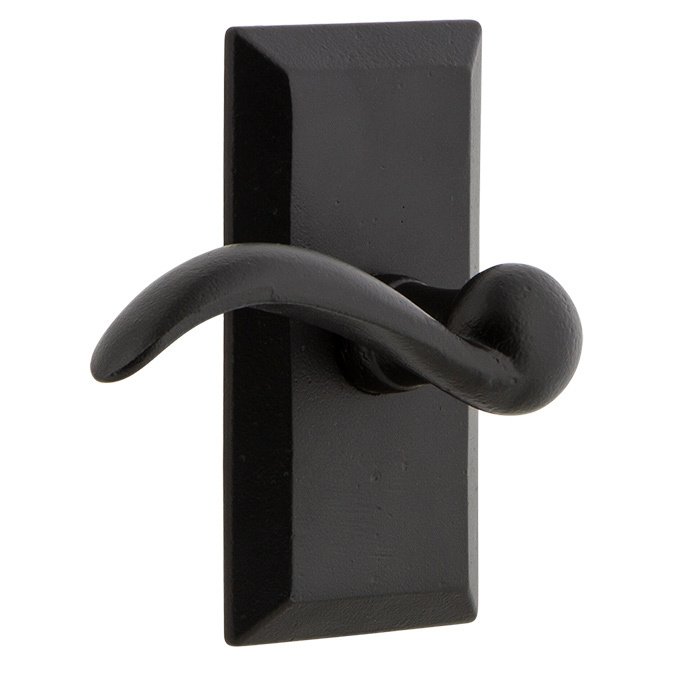 Privacy Vale Plate with Left Handed Tine Lever in Black Iron
