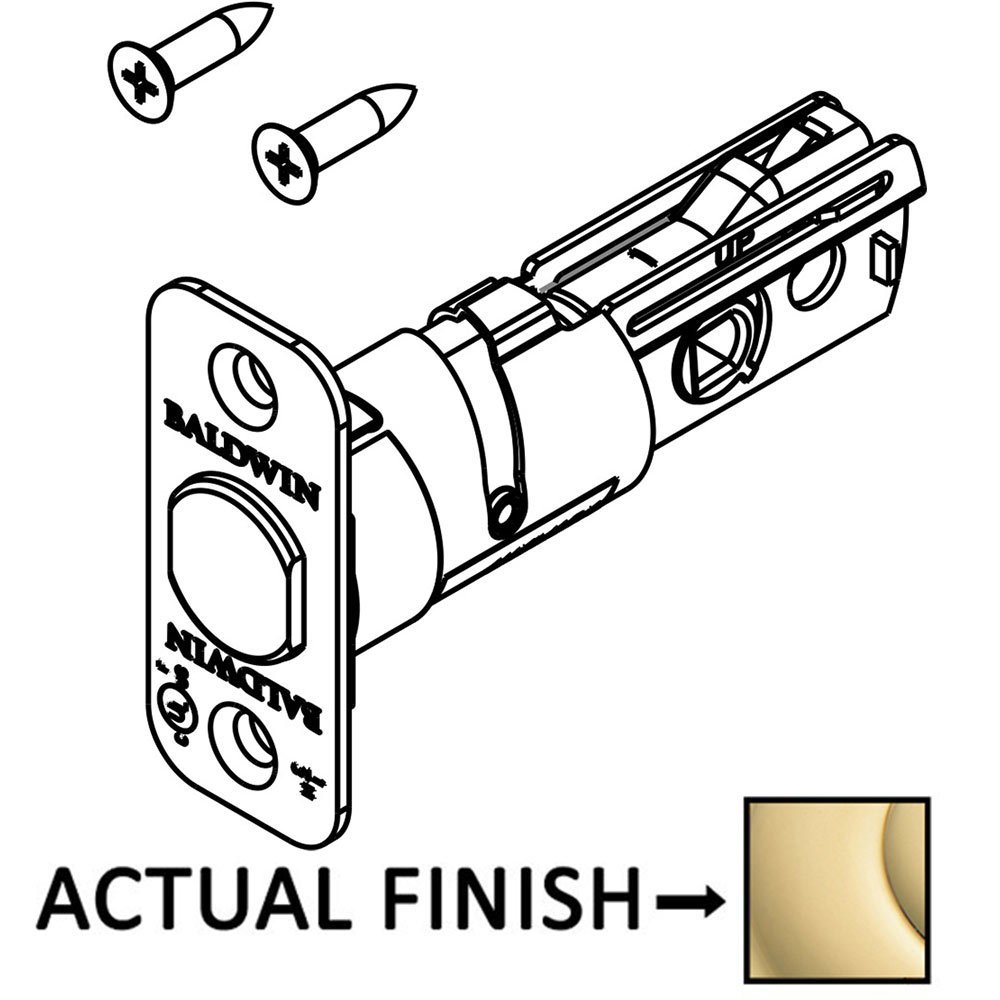 Deadbolt Core Latch with Backplate for Handleset (Single Cylinder/Double Cylinder) and deadbolt (Single Cylinder / Double Cylinder) in Polished Brass
