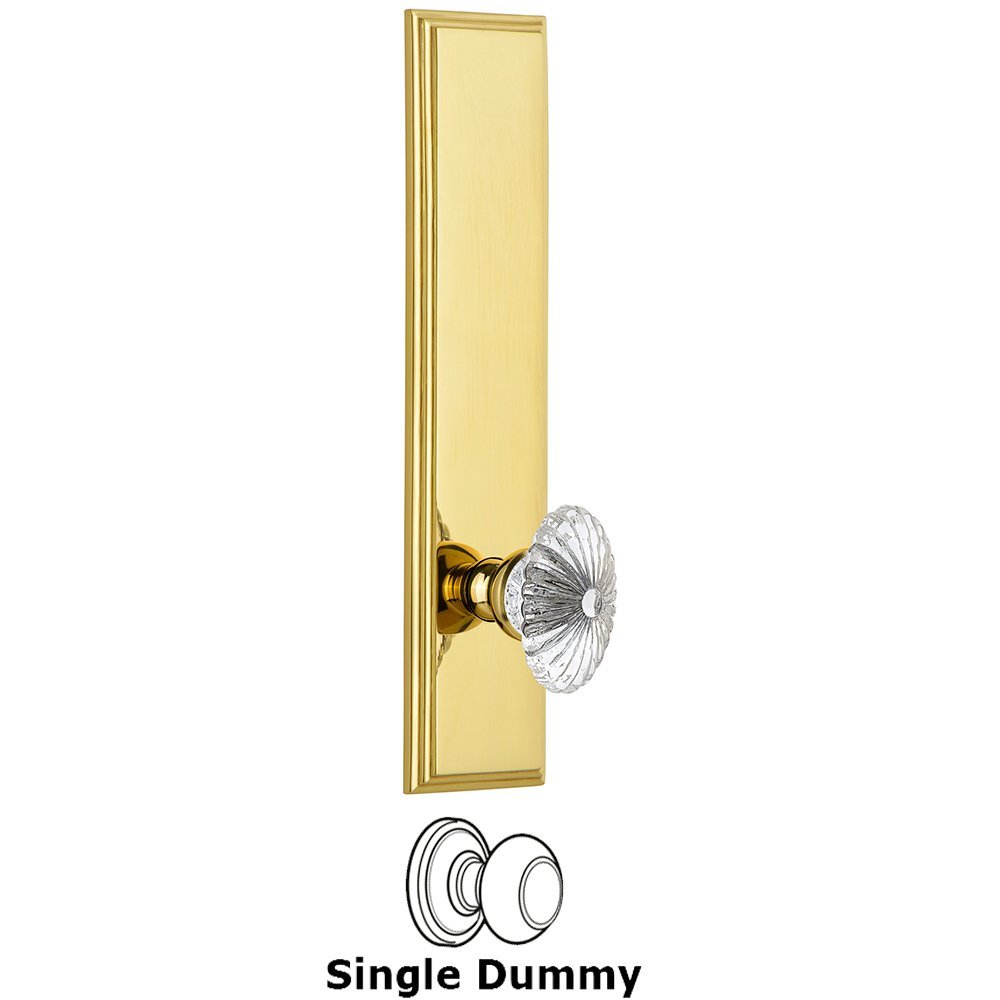 Dummy Carre Tall Plate with Burgundy Knob in Polished Brass