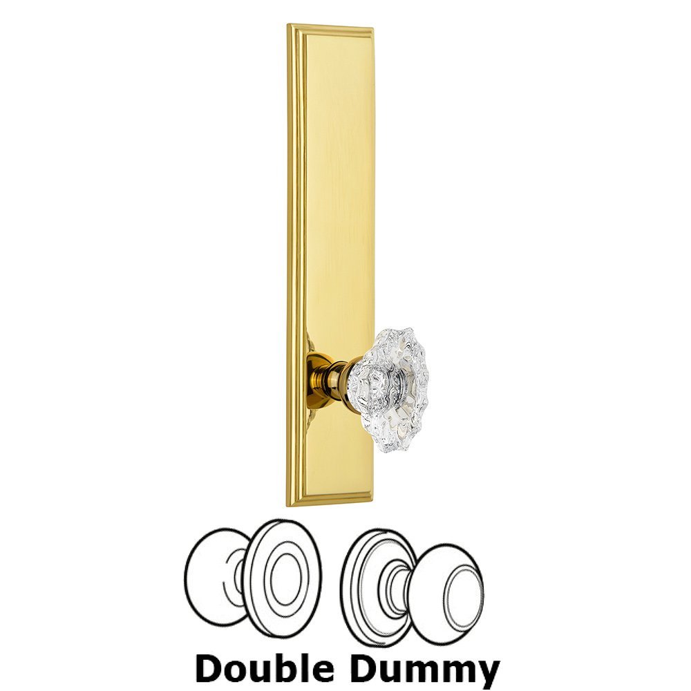 Double Dummy Carre Tall Plate with Biarritz Knob in Polished Brass