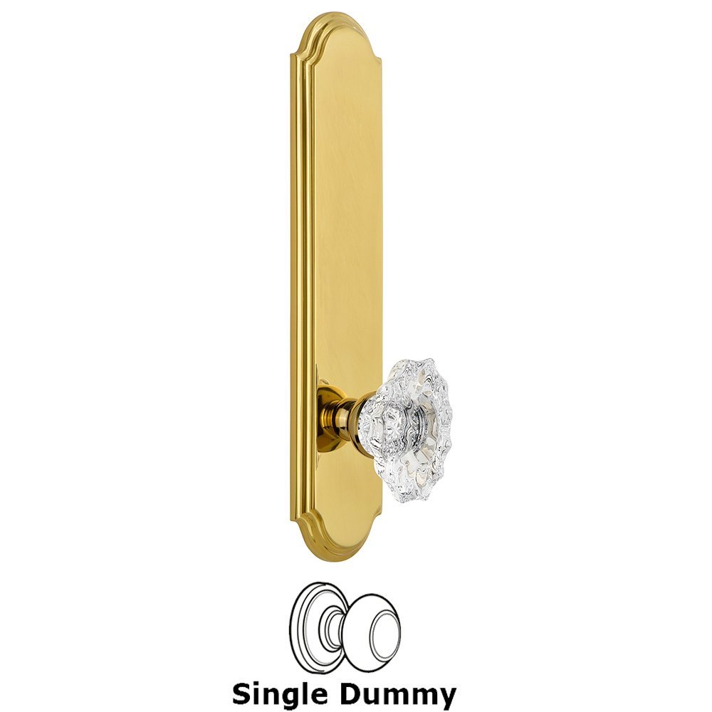 Tall Plate Dummy with Biarritz Knob in Lifetime Brass