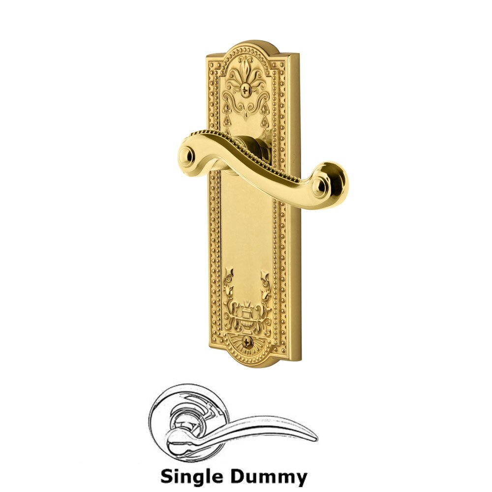 Single Dummy Parthenon Plate with Newport Left Handed Lever in Polished Brass
