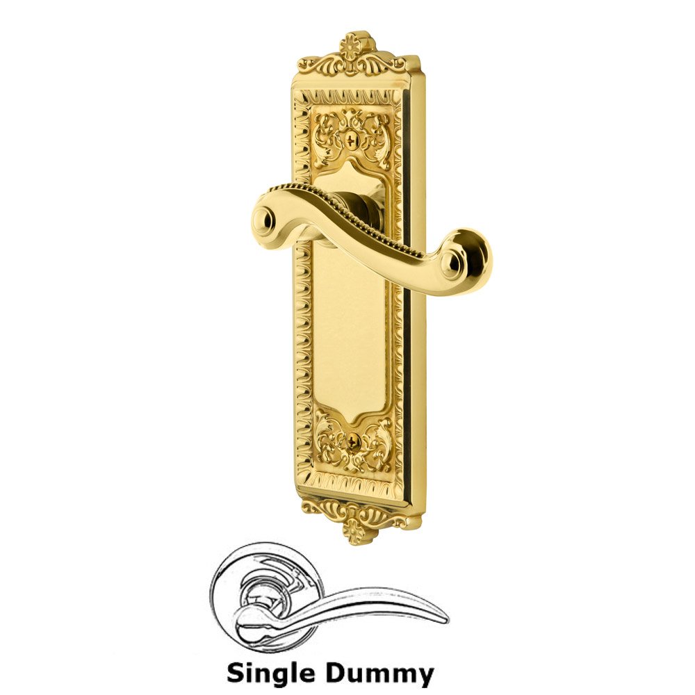 Single Dummy Windsor Plate with Left Handed Newport Lever in Polished Brass