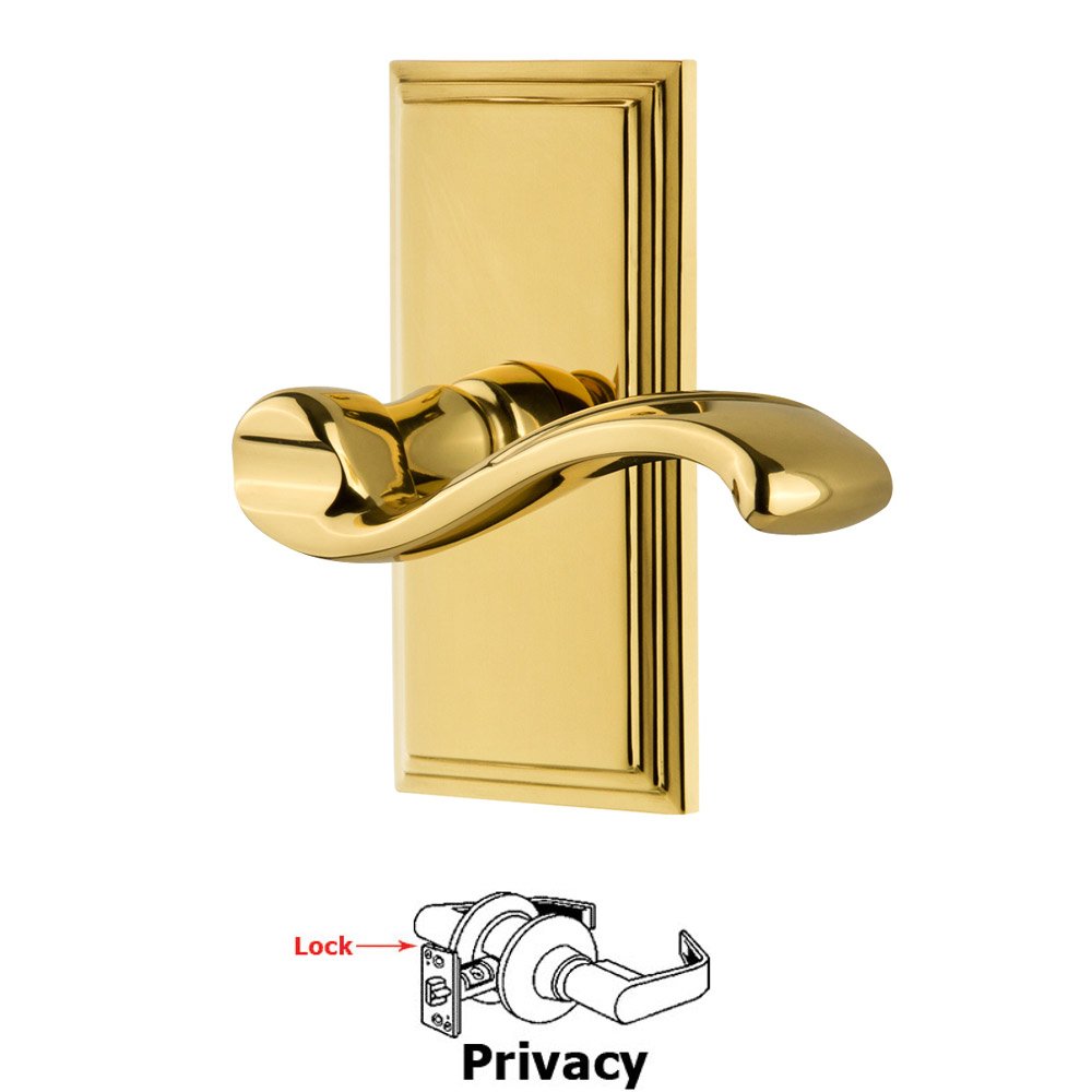 Privacy Carre Plate with Portofino Right Handed Lever in Lifetime Brass