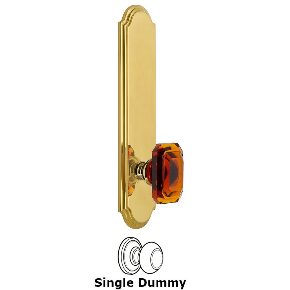Tall Plate Dummy with Baguette Amber Knob in Lifetime Brass