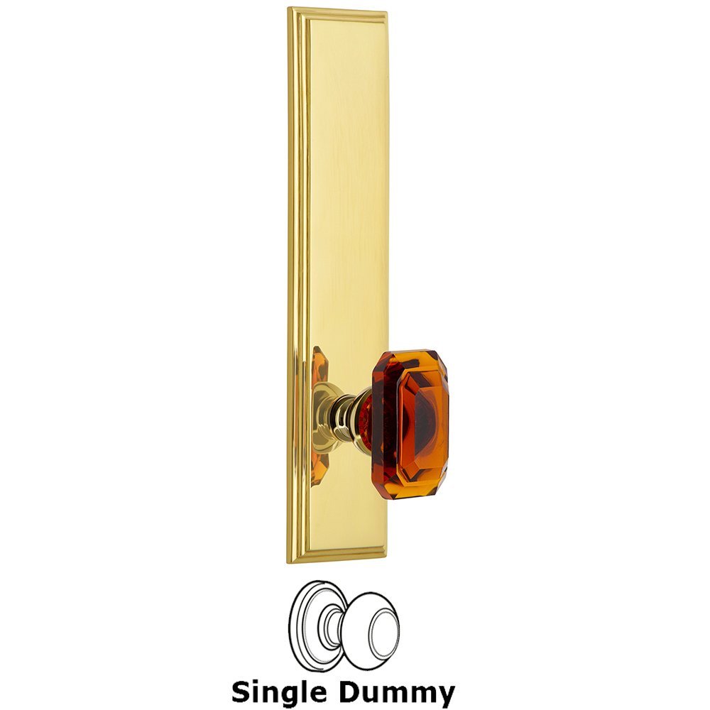 Dummy Carre Tall Plate with Baguette Amber Knob in Polished Brass