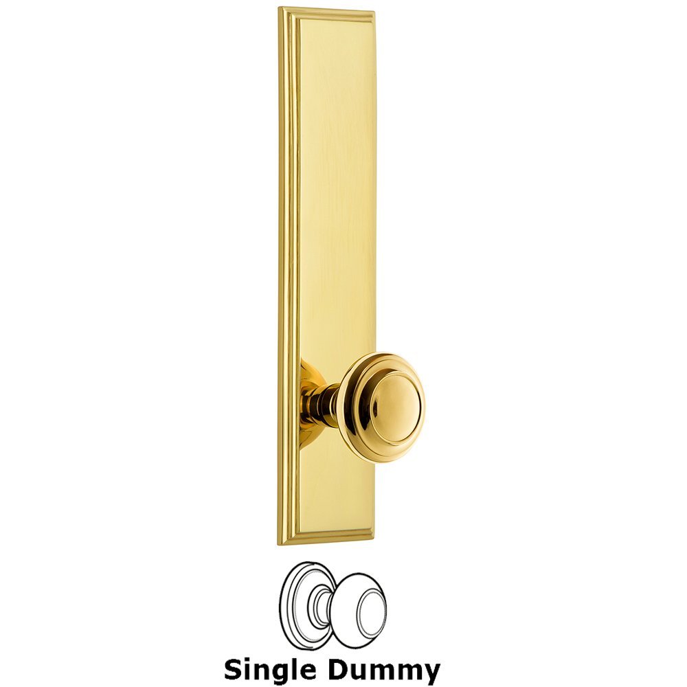 Dummy Carre Tall Plate with Circulaire Knob in Lifetime Brass