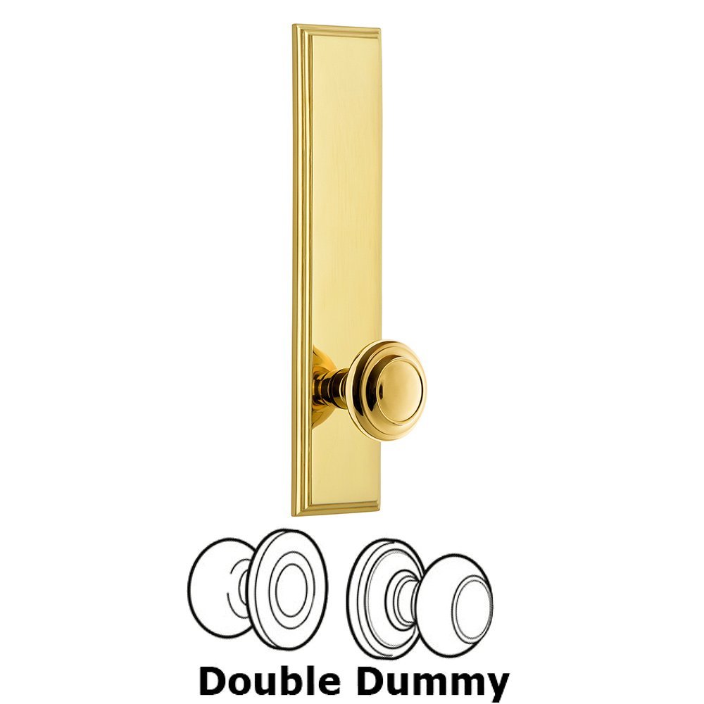 Double Dummy Carre Tall Plate with Circulaire Knob in Lifetime Brass