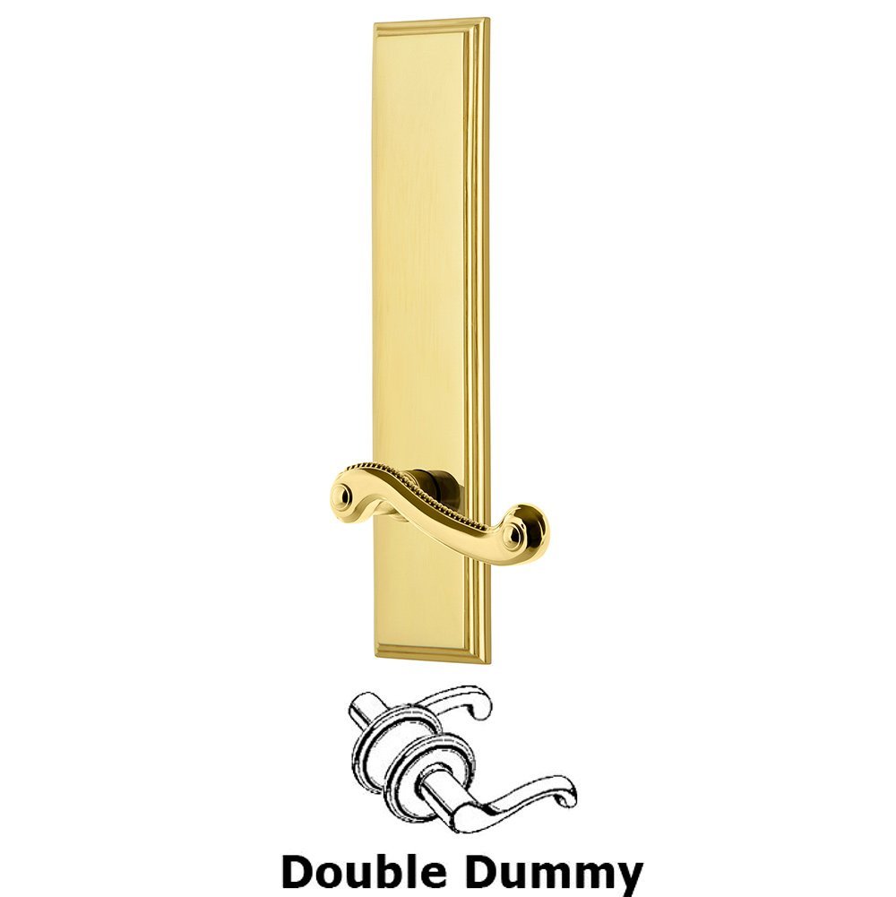 Double Dummy Carre Tall Plate with Newport Lever in Lifetime Brass