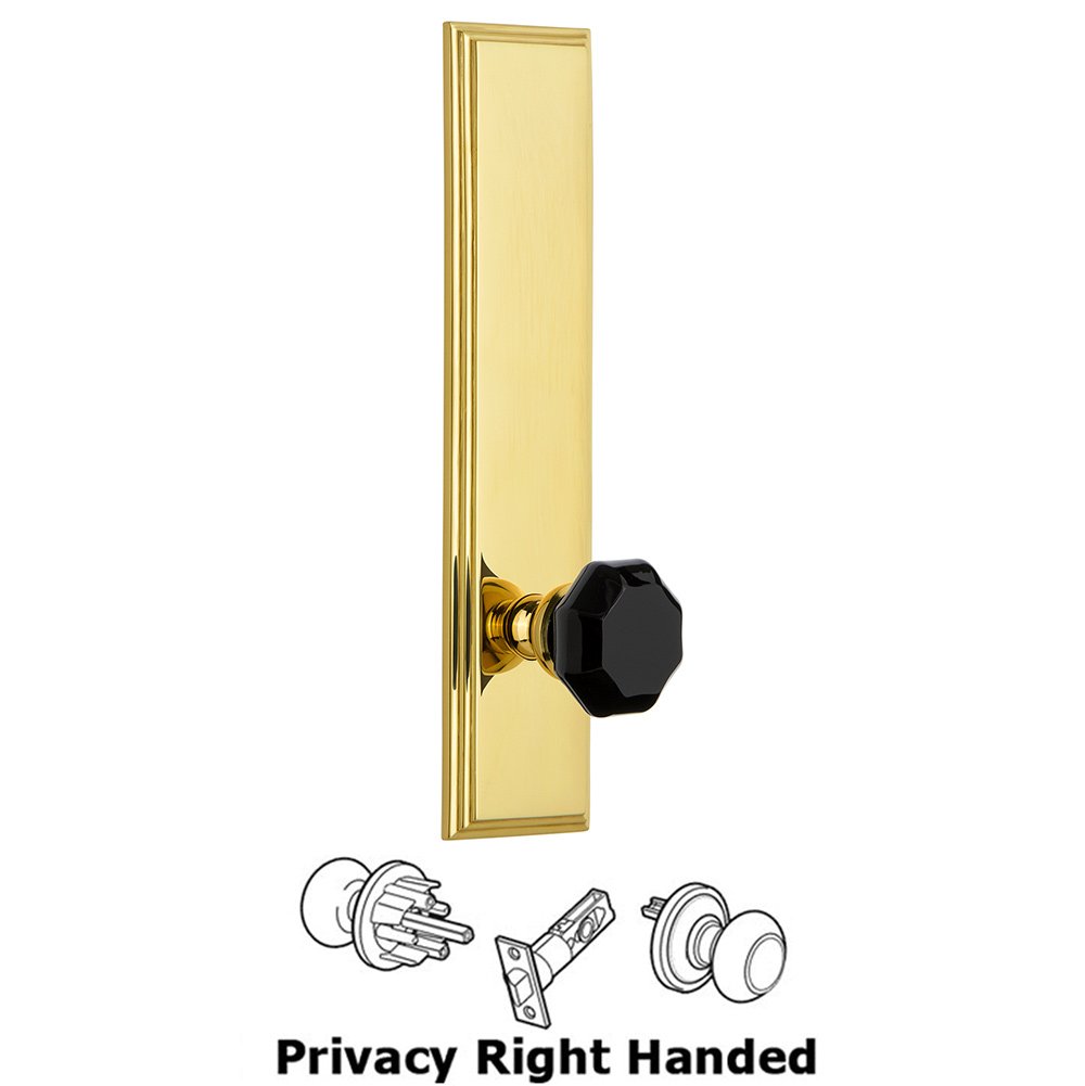 Privacy Carre Tall Plate with Black Lyon Crystal Knob in Polished Brass