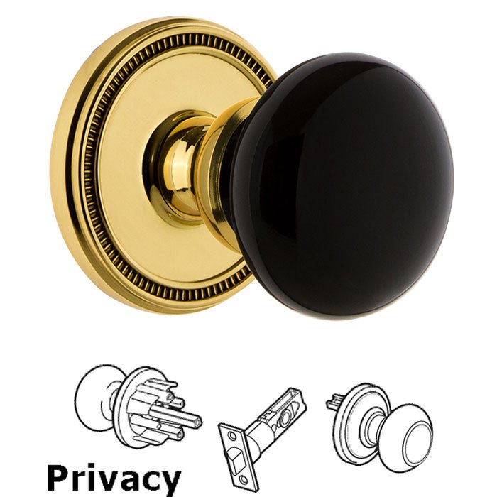 Privacy - Soleil Rosette with Black Coventry Porcelain Knob in Lifetime Brass