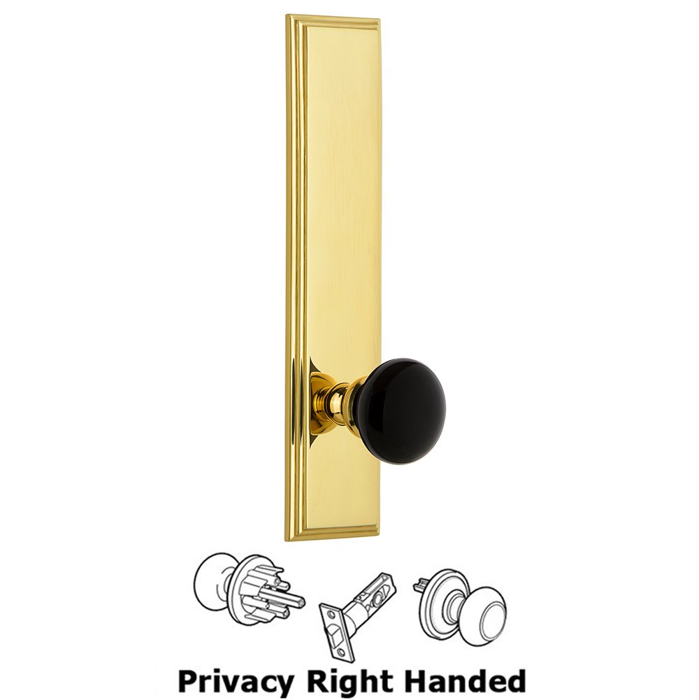 Privacy Carre Tall Plate with Black Coventry Porcelain Knob in Polished Brass