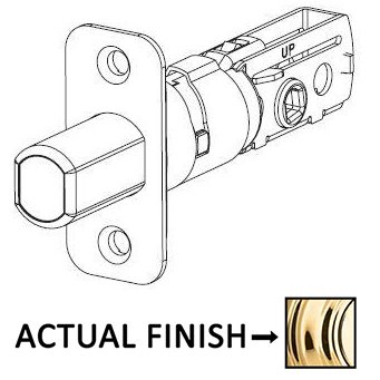 Adjustable Radius Deadbolt Latch for 780 and 980 Series in Bright Brass