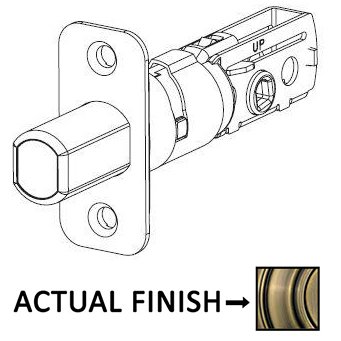 Adjustable Radius Deadbolt Latch for 780 and 980 Series in Antique Brass