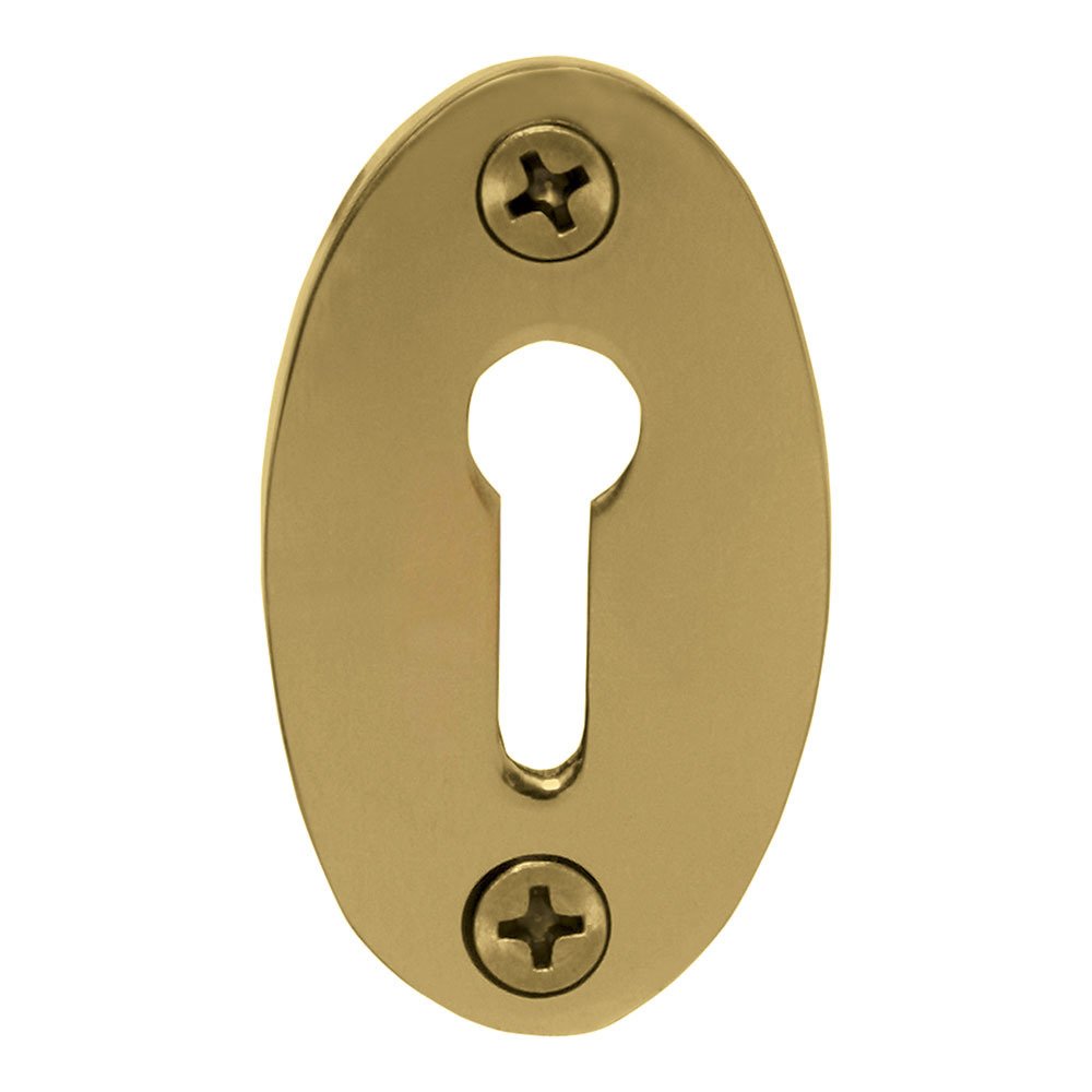 Classic Keyhole Cover in Antique Brass