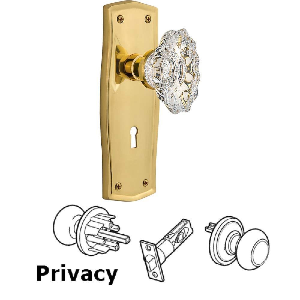 Complete Privacy Set With Keyhole - Prairie Plate with Chateau Crystal Knob in Polished Brass