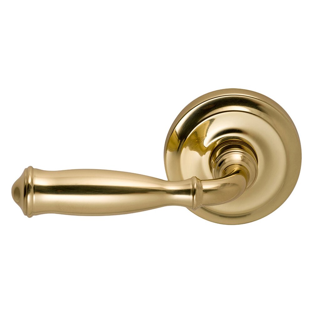 Privacy Traditions Left Handed Lever with Radial Rosette in Polished Brass Unlacquered