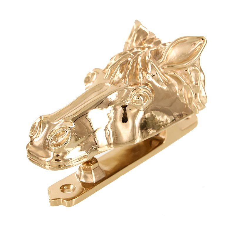 Door knockers Collection - Equestre Horse Head in Polished Gold