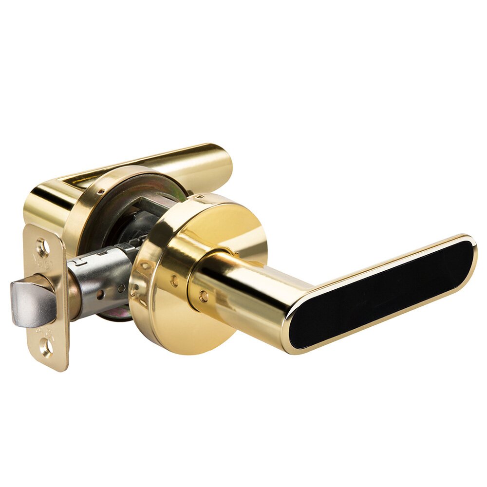 Passage Kincaid Lever with Black Insert in Polished Brass