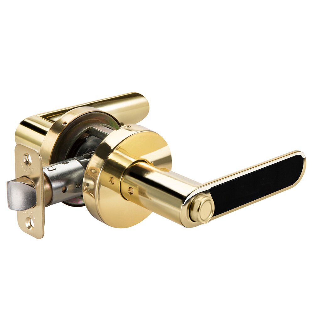 Privacy Kincaid Lever with Black Insert in Polished Brass
